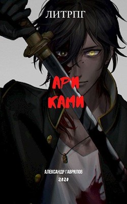 Книга Ари Ками (СИ)