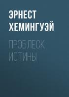 Книга Проблеск истины