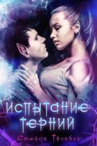 Книга Испытание Терний (ЛП)