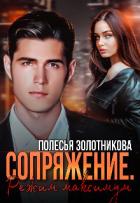 Книга Сопряжение. Режим Максимум (СИ)
