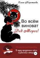 Книга Во всём виноват Дед Мороз!