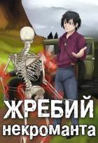 Книга Жребий некроманта. Надежда рода (СИ)