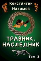 Книга Наследник (СИ)