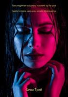 Книга Преследуемая прошлым (СИ)