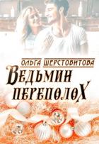 Книга Ведьмин переполох