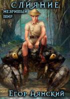 Книга Слияние (СИ)