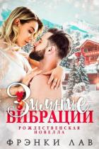 Книга Зимние вибрации (ЛП)