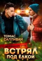Книга Встрял под ёлкой (СИ)