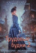 Книга Трудовые будни барышни-попаданки 2 (СИ)