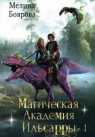 Книга Магическая академия Ильсарры – 1