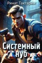 Книга Системный Нуб (СИ)