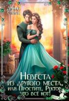 Книга Невеста из другого места, или Простите, Ректор, это всё кот! (СИ)