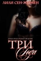 Книга Три года (ЛП)