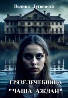 Книга Грязелечебница «Чаша Аждаи»