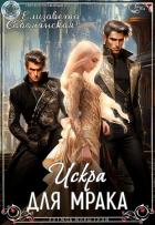 Книга Искра для Мрака