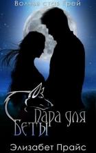Книга Пара для Беты (ЛП)