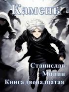 Книга Камень Книга двенадцатая (СИ)