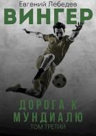 Книга Дорога к Мундиалю (СИ)