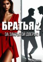 Книга Братья 2. За закрытой дверью (СИ)