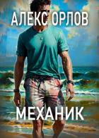 Книга Механик