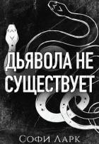 Книга Дьявола не существует (ЛП)