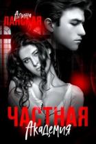 Книга Частная Академия. Осколки (СИ)