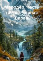 Книга Мародёр. Часть третья. Чёрная Вдова
