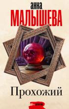 Книга Прохожий