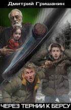 Книга Через тернии к берсу (СИ)