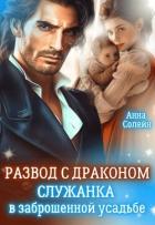 Книга Развод с драконом. Служанка в заброшенной усадьбе (СИ)