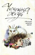 Книга Чистенькая жизнь (сборник)