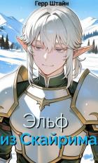 Книга Эльф из Скайрима (СИ)