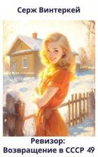 Книга Ревизор: возвращение в СССР 49 (СИ)