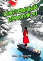 Книга Системный практик XI (СИ)