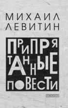 Книга Припрятанные повести