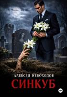 Книга Синкуб
