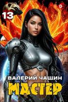 Книга Мастер 13 (СИ)