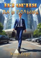 Книга Из огня да в полымя (СИ)