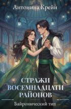 Книга Стражи восемнадцати районов. Серия 3. Байронический тип