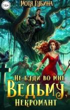 Книга Непутёвые ведьмы-попаданки. Дилогия (СИ)