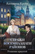Книга Стражи восемнадцати районов. Серия 6. Утешение красотой