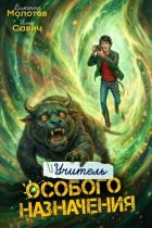 Книга Учитель Особого Назначения. Том 7 (СИ)