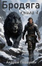 Книга Бродяга Книга четвертая (СИ)