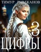 Книга Цифры 3 (СИ)