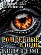 Книга Трон (СИ)