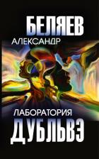 Книга Лаборатория Дубльвэ