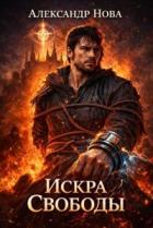 Книга Искра Свободы 1 (СИ)
