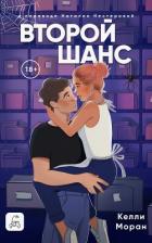 Книга Второй шанс