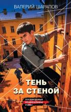 Книга Тень за стеной