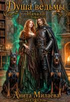 Книга Душа ведьмы. Начало (СИ)